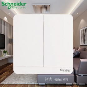 施耐德Schneider开关面板 繹尚镜瓷白系列 二开单控开关面板