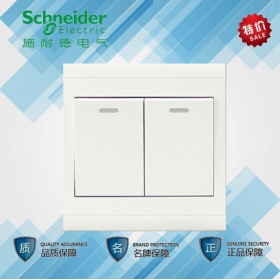 施耐德Schneider开关插座 A5莹润系列二开单控双开单控 双联单控开关
