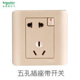 施耐德Schneider开关插座轻点沉醉金 轻点金 一开五孔带开关二三极插座面板