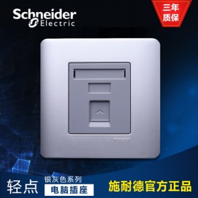 施耐德Schneider E8431RJS/5 SA 轻点 单联超五类八线信息插座 银