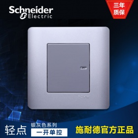 施耐德Schneider E8431/1 SA 轻点 16A 250V单联单控开关 银