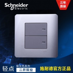 施耐德Schneider E8432/2 SA 轻点 16A 250V双联双控开关 银