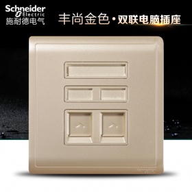 施耐德Schneider开关插座 丰尚Pieno沉醉金 二位电脑插座面板