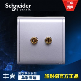 施耐德Schneider开关插座 丰尚Pieno薰衣草银 E8231SC_LS 丰尚 单联音箱连接座
