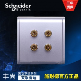 施耐德Schneider开关插座 丰尚Pieno薰衣草银 E8232SC_LS 丰尚 双联音箱连接座