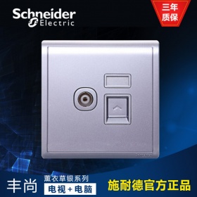 施耐德Schneider开关插座 丰尚Pieno薰衣草银 E8232TVRJS_5_LS 丰尚 单联电视+保护门超五类信息插座