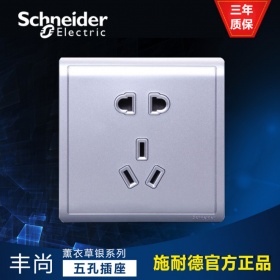施耐德Schneider开关插座 丰尚Pieno薰衣草银 E82426_10US_LS 丰尚 10A 250V 保护门二/三极插座