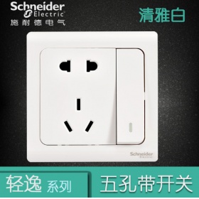 施耐德Schneider开关插座 轻逸Vogue清雅白  一开单控五孔10A插座面板