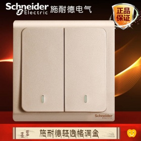 施耐德Schneider开关插座 轻逸Vogue格调金  二开双控开关面板