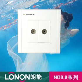 朗能LONON开关插座 NB9.0雅白系列  二位电视插座面板