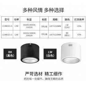 西顿照明led明装式筒灯家用客厅吊顶过道明装简灯天花灯CEAM3135