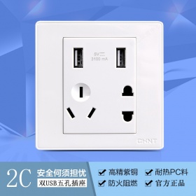 正泰开关插座面板NEW2C双USB五孔插座 内嵌钢架白色大板五孔带USB