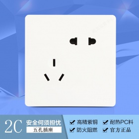 正泰开关插座NEW2C五孔插座 内嵌钢架白色大板 二三插5眼电源插座
