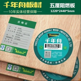千年舟阻燃板 5mm多层板 杨木芯阻燃等级B1级环保等级E0防火阻燃胶合板