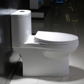 法恩莎卫浴马桶坐便器抽水虹吸陶瓷节水抽水普通马桶FB16158