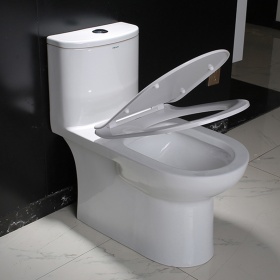 法恩莎马桶家用卫生间防臭虹吸式坐便器静音节水座便器FB16159