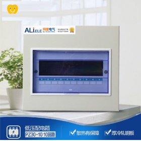 配电箱PZ30-10强电箱 普通小型暗装10回路照明配电箱 空开箱 电表箱 DZ47 C45开关箱