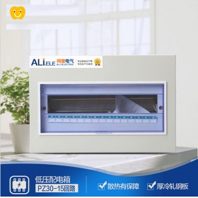 配电箱PZ30-15强电箱 普通小型暗装15回路照明配电箱 空开箱 电表箱 DZ47 C45开关箱