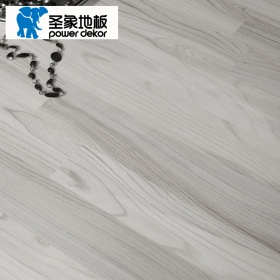 圣象强化复合地板客厅卧室儿童房地板环保环保6000-9000转其他甲醛耐磨防水双拼浮雕F4星家用地板NF13系列 NF1301（裸板）银月城堡 1286*194
