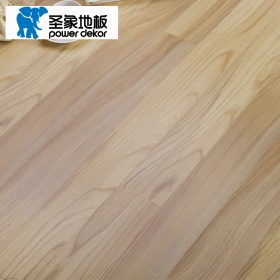 圣象强化复合地板客厅卧室儿童房地板环保环保6000-9000转其他甲醛耐磨防水双拼浮雕F4星家用地板NF13系列 NF1302（裸板）太阳之井 1286*194