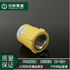 中财管道 PPR冷热水管工程家装水管配件内丝直接 内牙直接 丝接