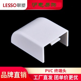 lesso/联塑PVC线槽配件 终端头 20×10-200×100等规格 线槽堵头